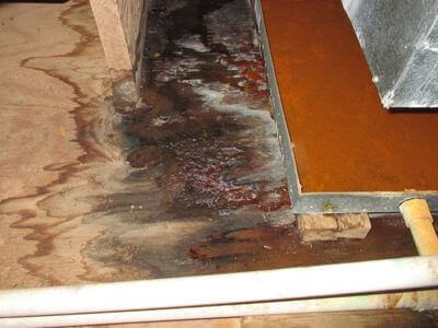 About TriumphNest - water damage restoration experts in Greenville